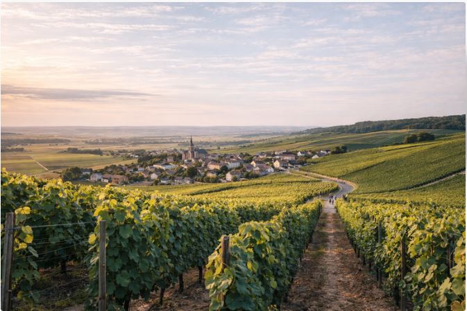 Airport transfers to Champagne region